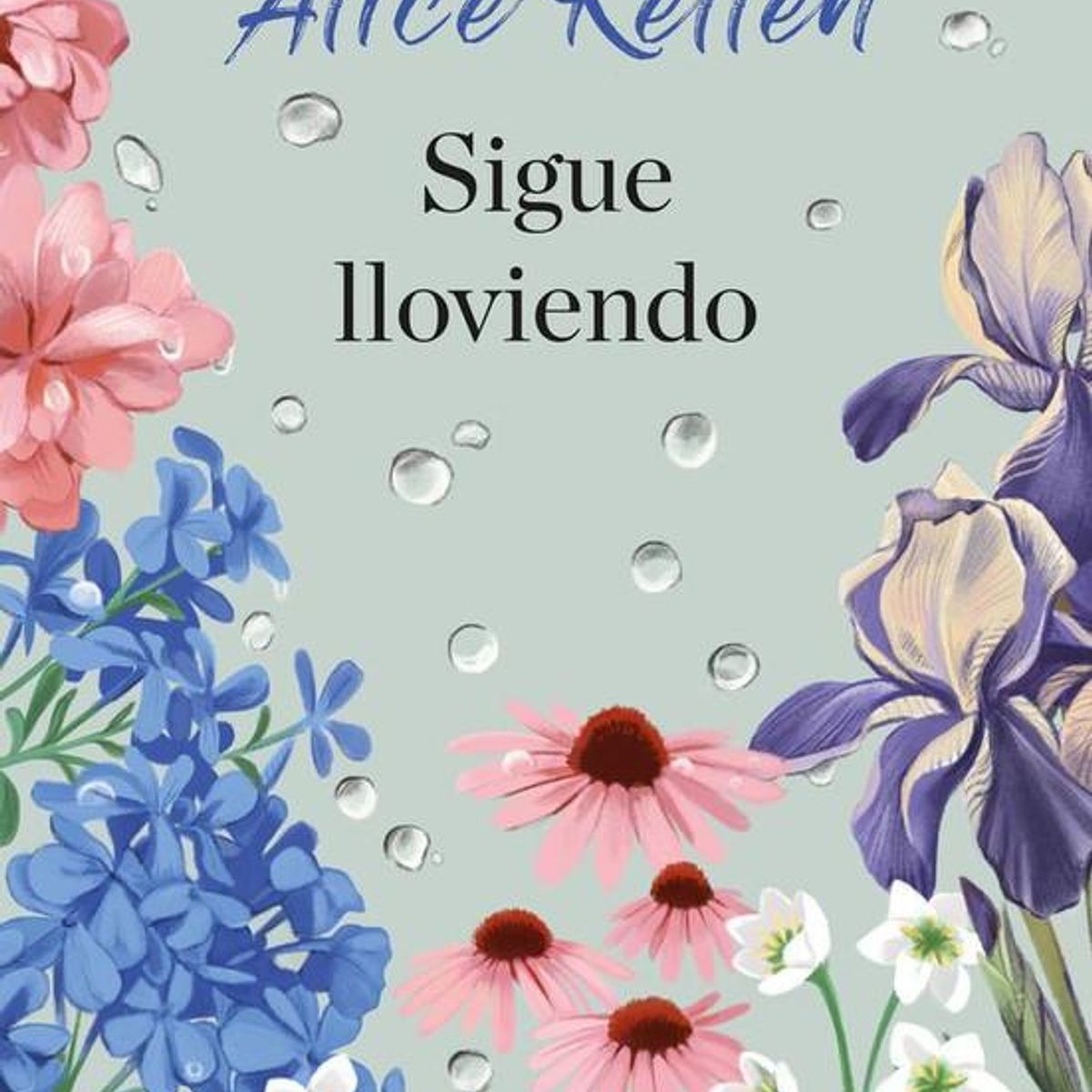 PLANETA - Libro Sigue lloviendo - Alice Kellen