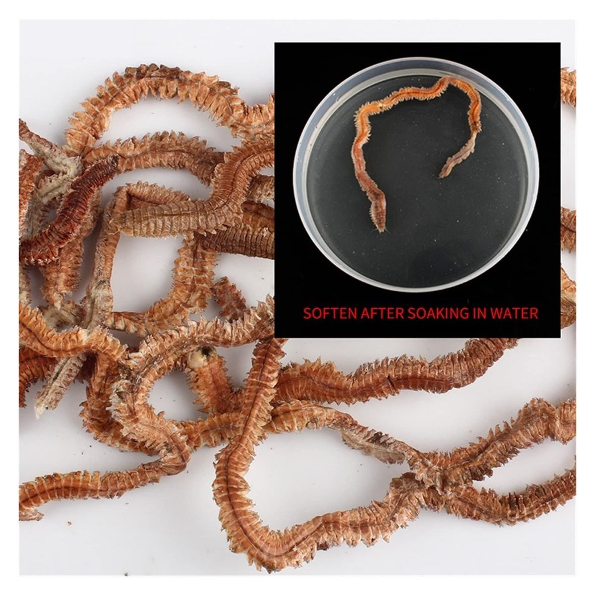 GENERICO - Cebo Señuelo Natural Deshidratado Weple  Pesca 10g