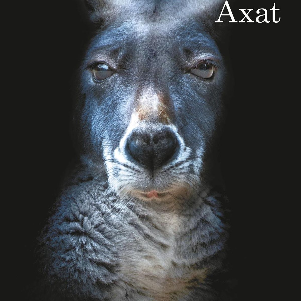 DESTINO - Libro El día de mi muerte - Federico Axat