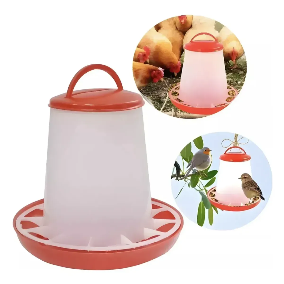ATLAS - Comedero Para Gallinas 6kg