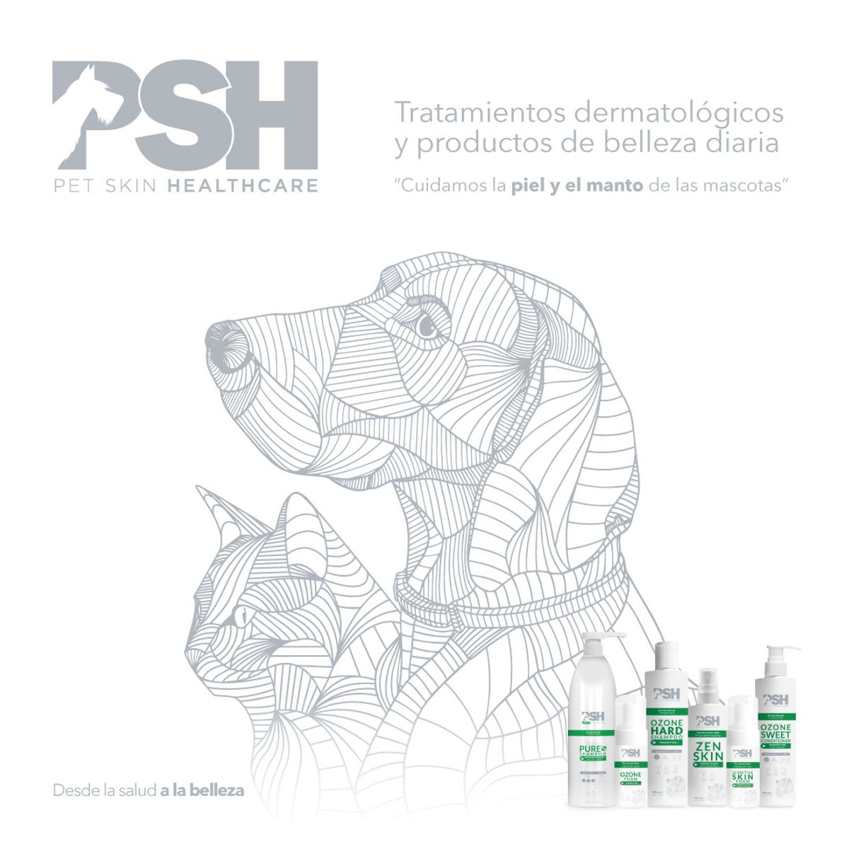 GENERICO - Bálsamo para Dermatosis Infecciosas en Mascotas Pure Silver PSH 300 ml
