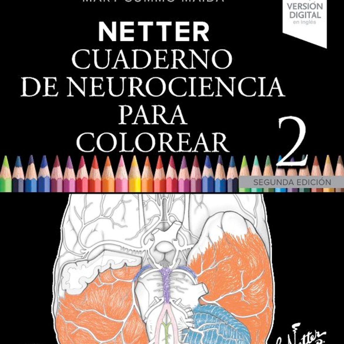 ELSEVIER - Netter. Cuaderno de neurociencia para colorear 2ed.