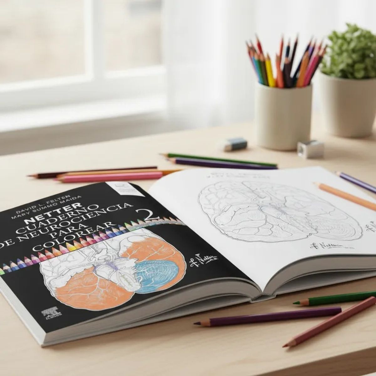 ELSEVIER - Netter. Cuaderno de neurociencia para colorear 2ed.