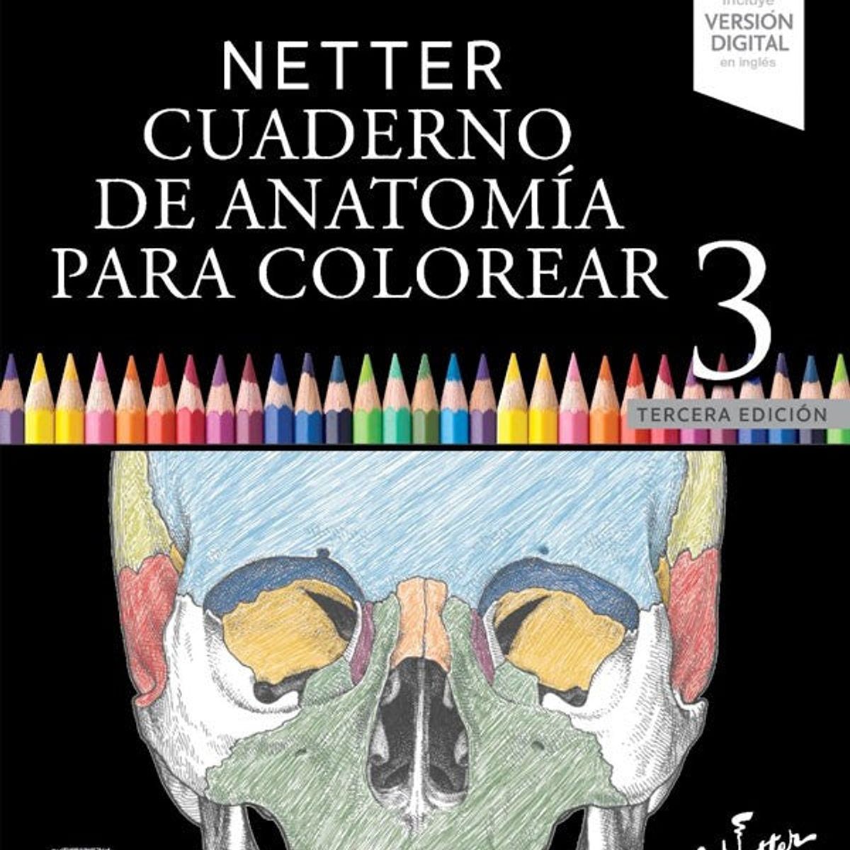 ELSEVIER - Netter. Cuaderno de anatomía para colorear 3ed.