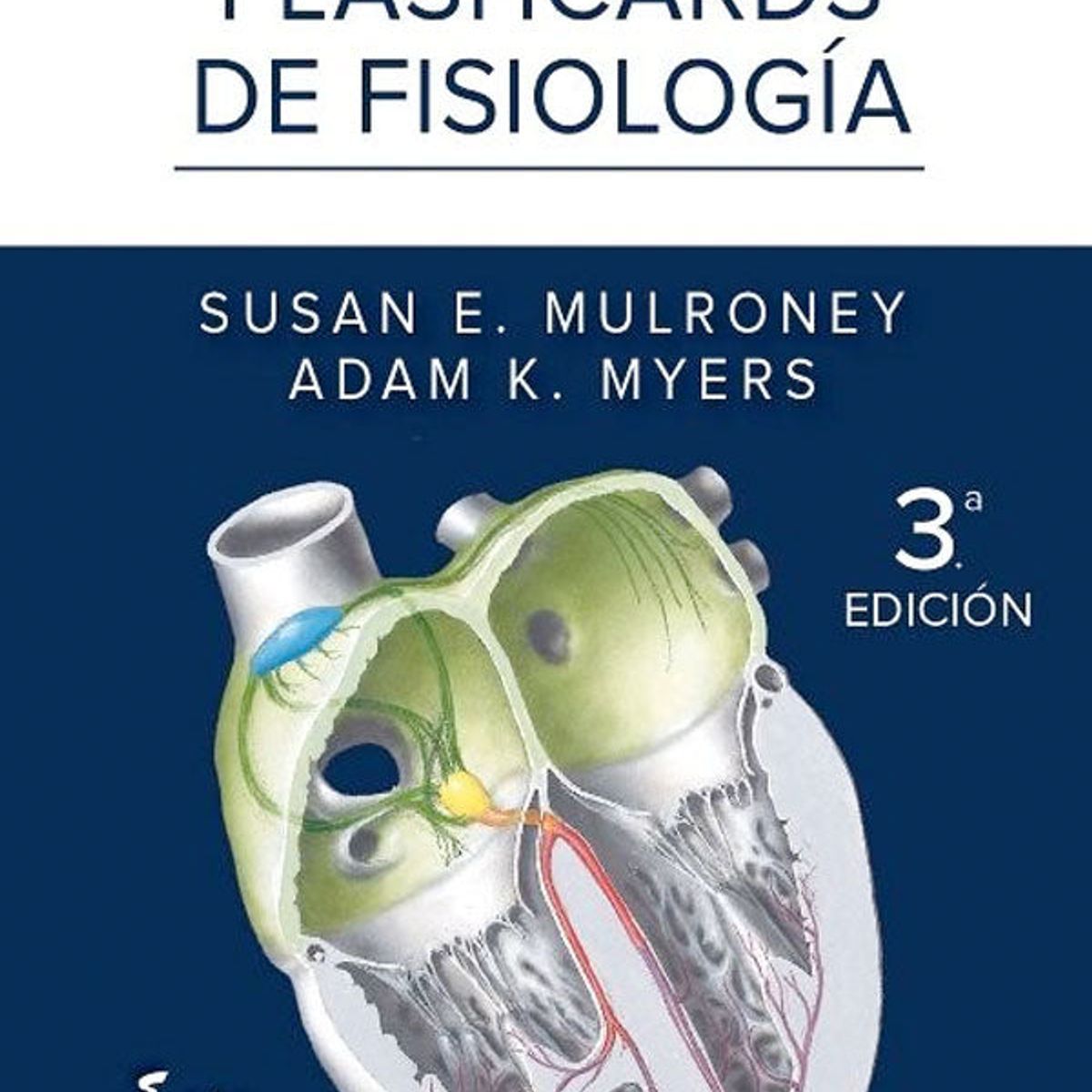ELSEVIER - Netter. Flashcards de fisiología 3ed.