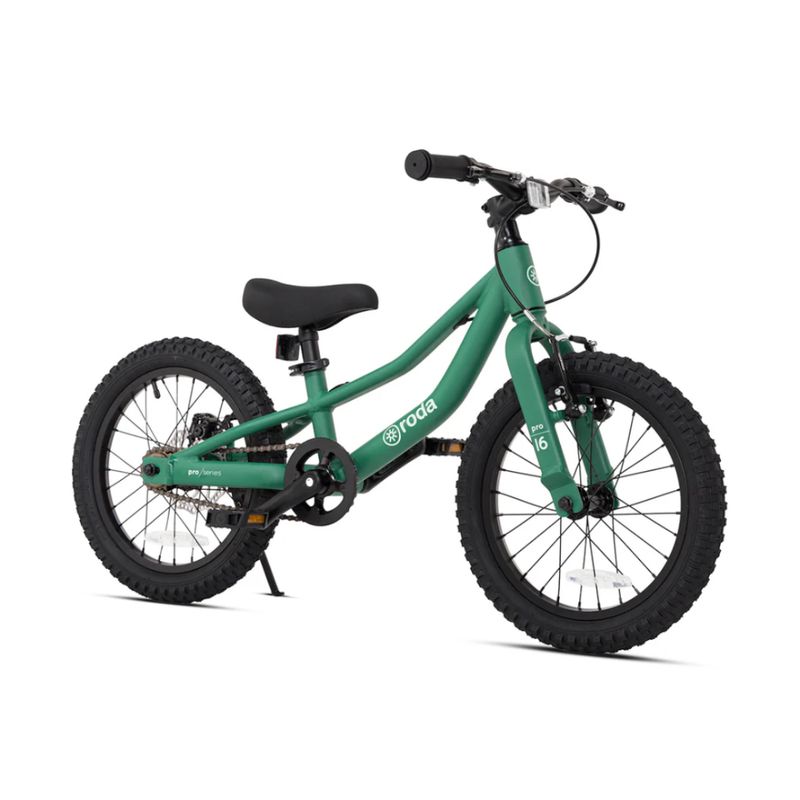 RODA - Bicicleta Roda Pro V3 Aro 16 Verde