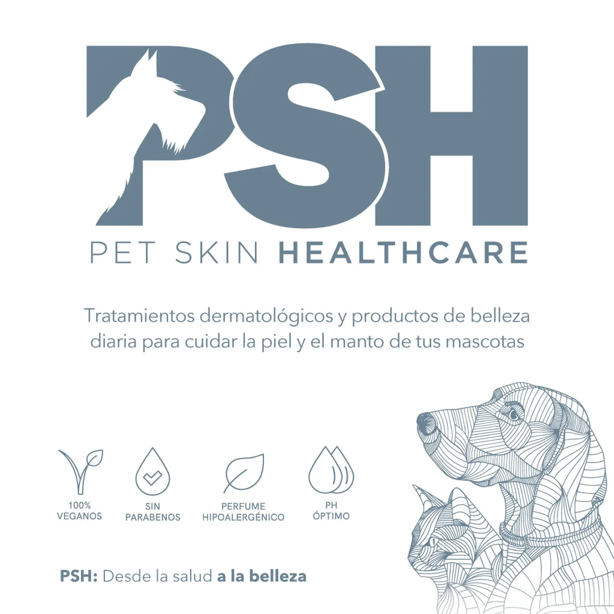 GENERICO - Acondicionador Pieles Sensibles o Alérgicas Hypoallergenic Rithual PSH 300 ml
