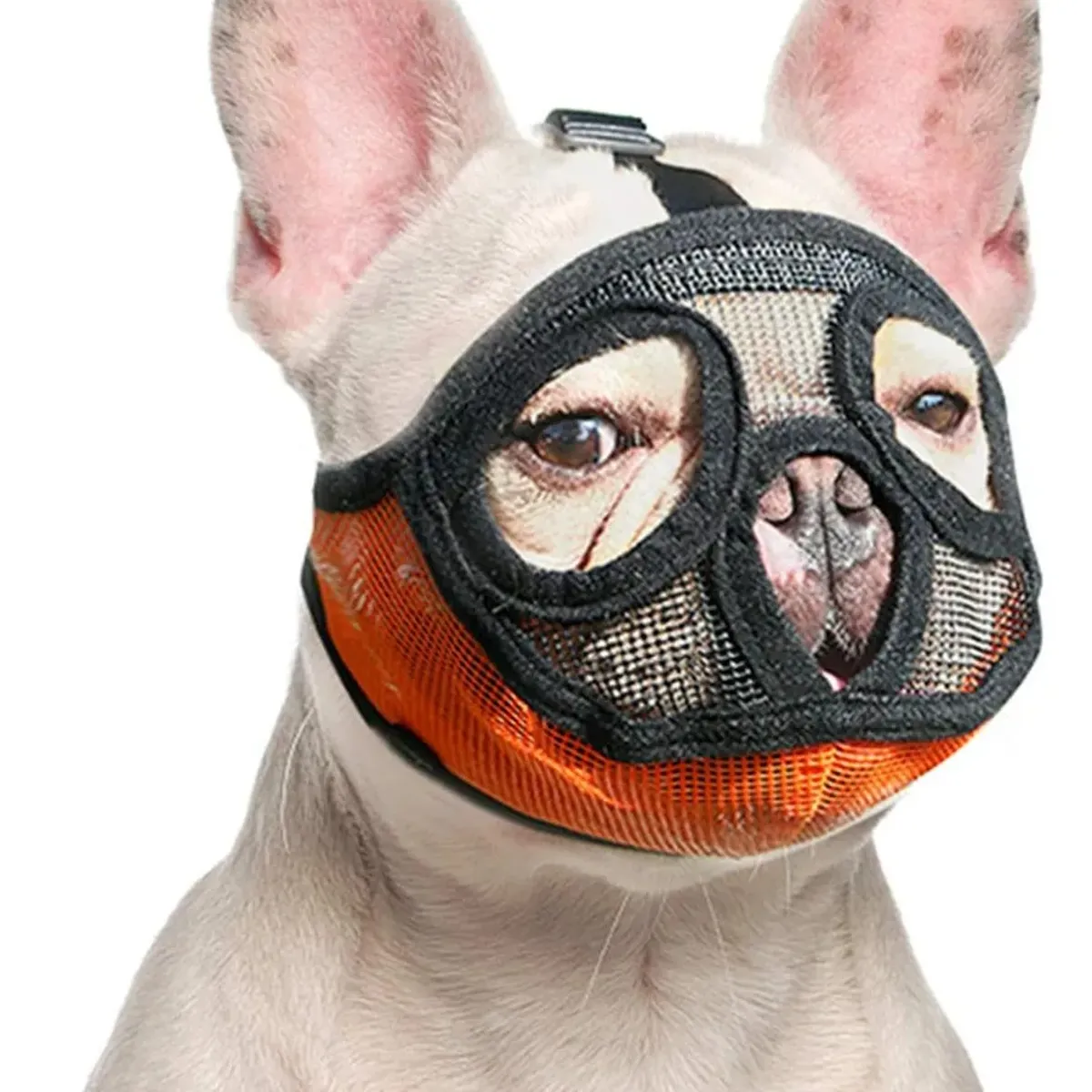 GENERICO - Bozal Para Perro Chico Arnes Bozal Perro Pequeño Bozal Corto
