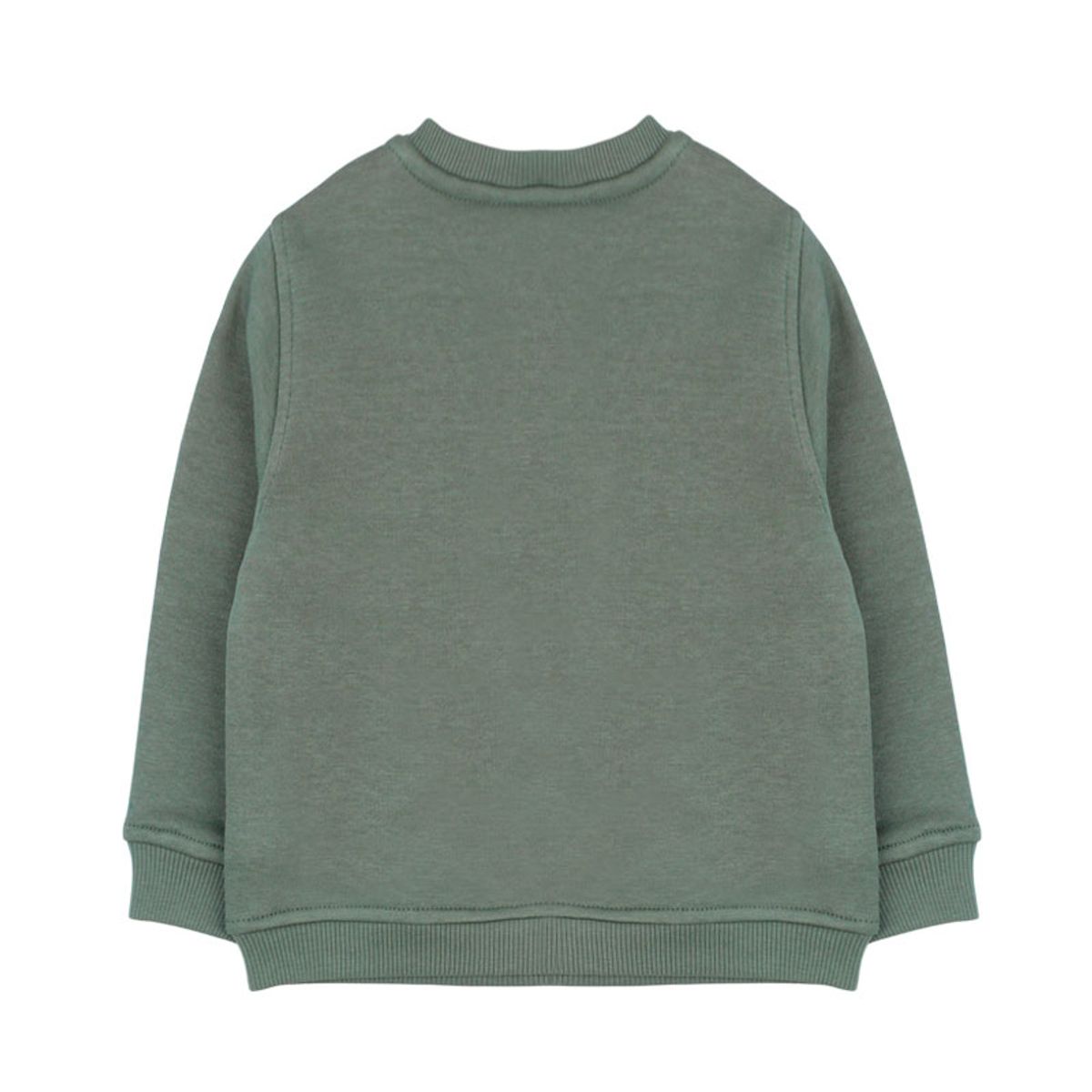 FICCUS - Polerón Niño Day To Day 2610696 Verde Oscuro Ficcus