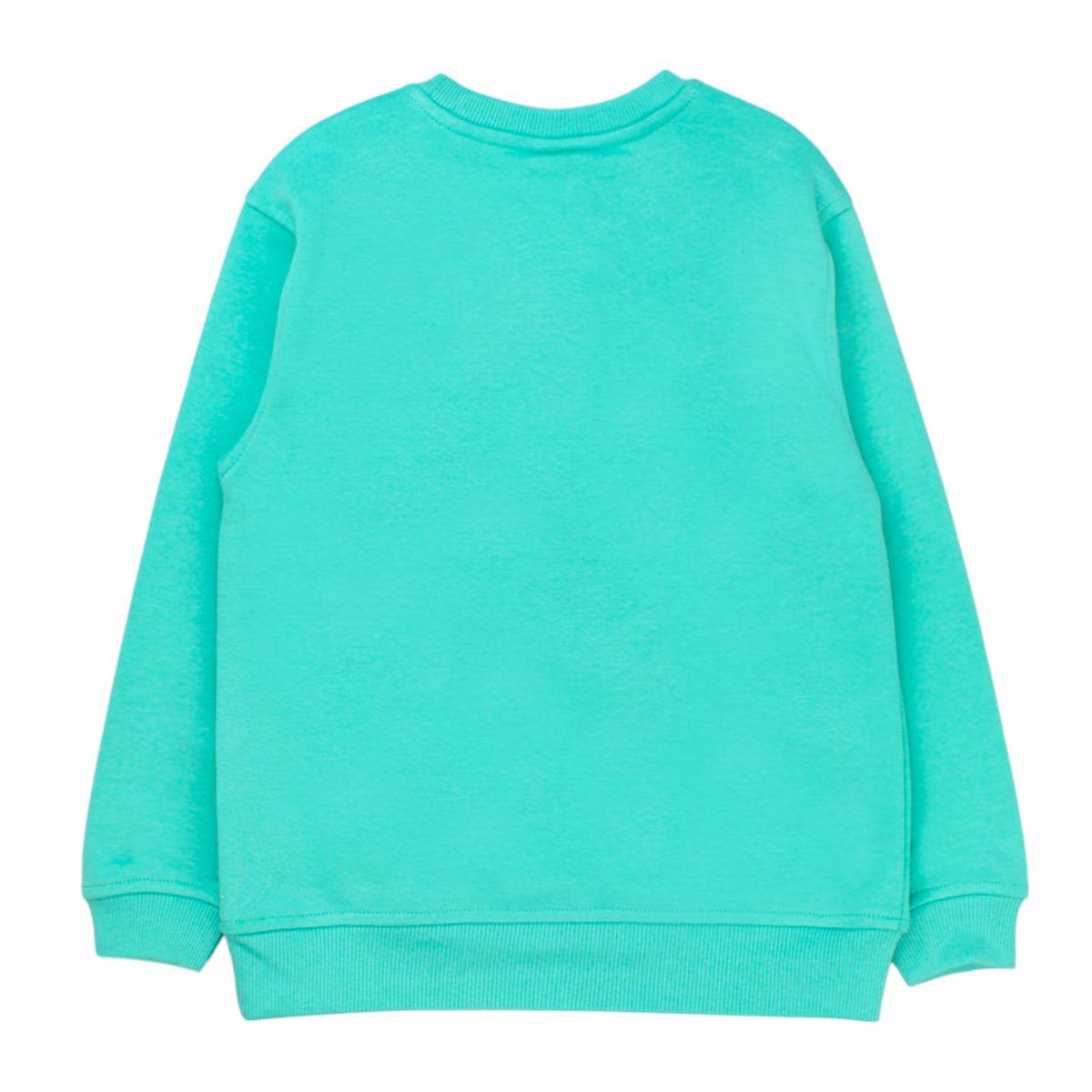 FICCUS - Polerón Niño Day To Day 2610763 Verde Ficcus