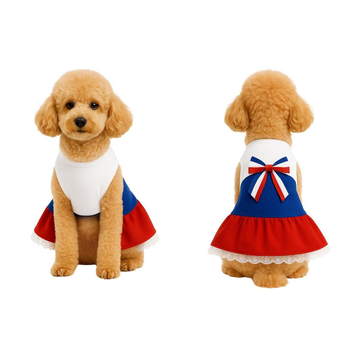 GENERICO - Vestido Huasa para Perro Talla XL - Fiestas Patrias