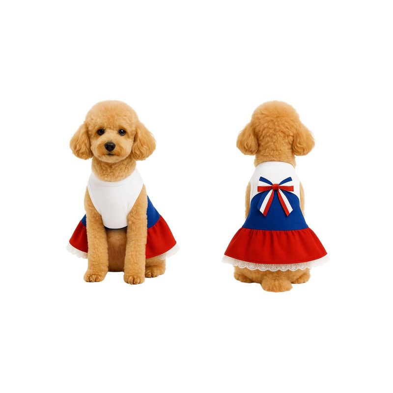 GENERICO - Vestido Huasa para Perro Talla XL - Fiestas Patrias