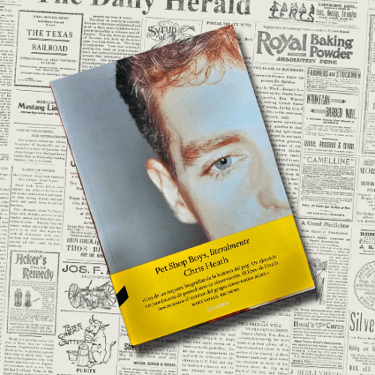GENERICO - Pet Shop Boys literalmente -Chris Heath- Libro