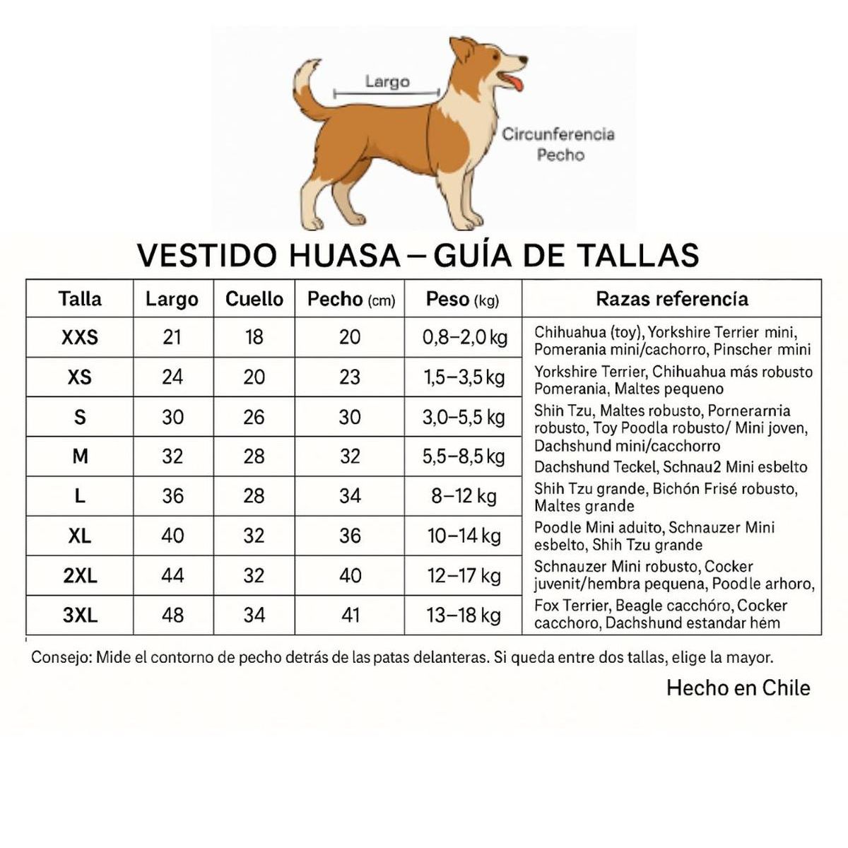 GENERICO - Capa Vestido Para Perros Y Gatos Traje De Huasa Xxs
