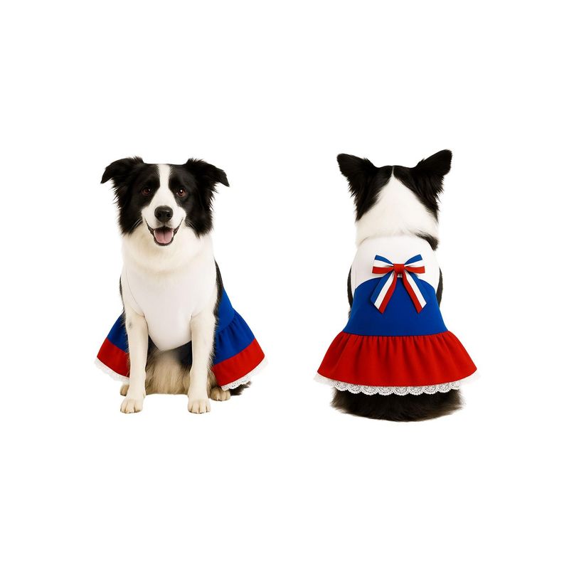 GENERICO - Capa Vestido Para Perros Y Gatos Traje De Huasa Xxxl