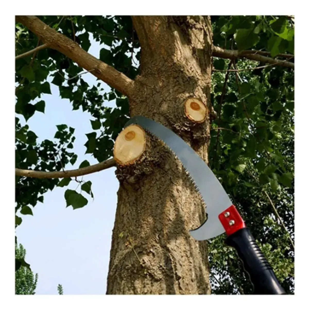 GENERICO - Sierra De Hoja Curvada De Poda 16 Pulgadas