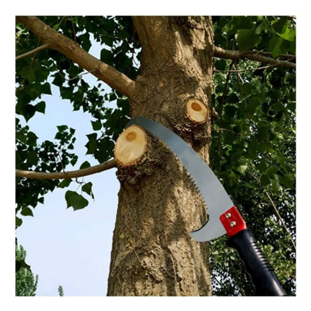 GENERICO - Sierra De Hoja Curvada De Poda 16 Pulgadas