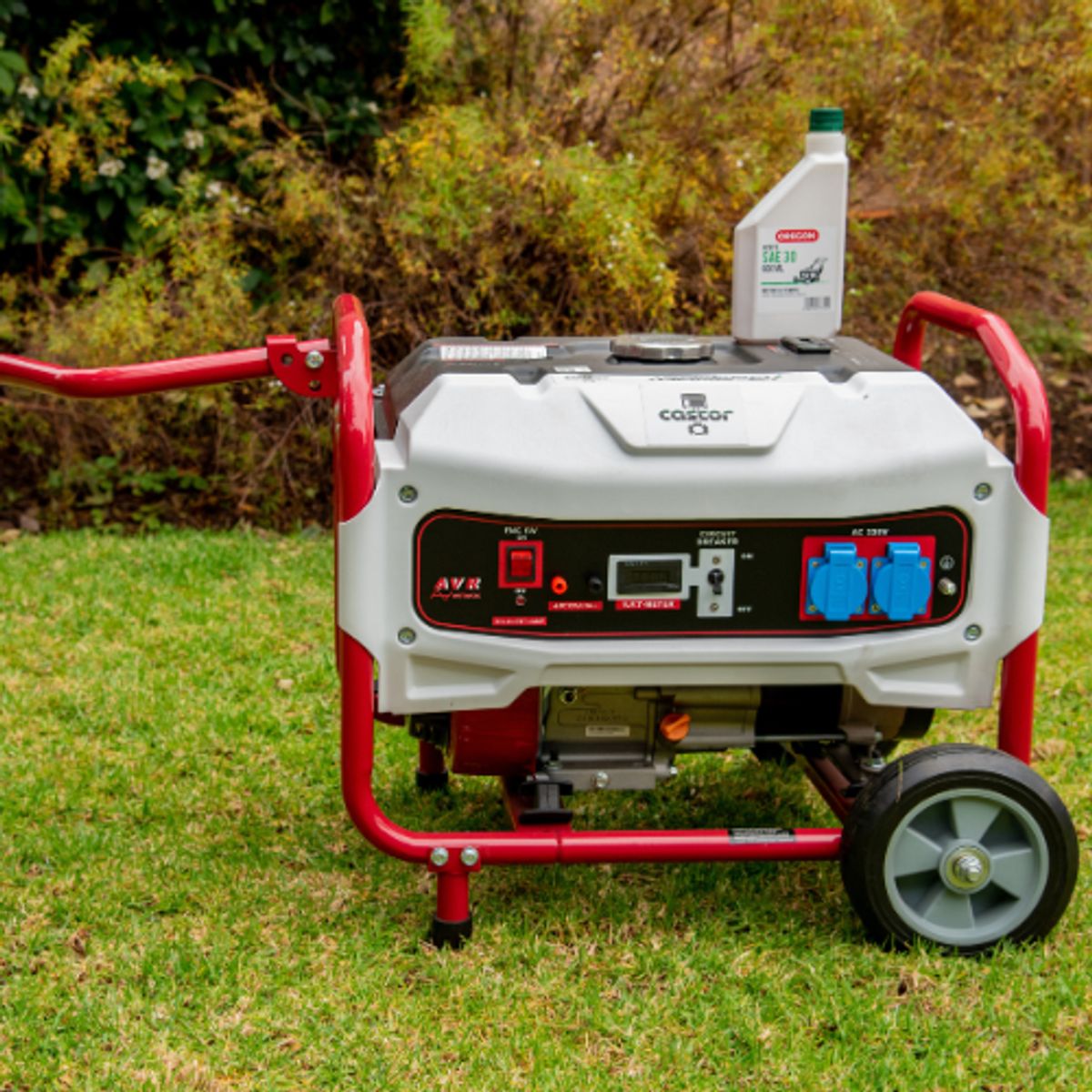 CASTOR - Generador Eléctrico Castor W-2500-B