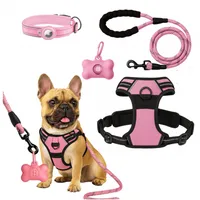 Set Arnes Correa Collar porta gps + Regalo - Rosa - M