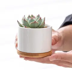 GENERICO - Macetero Para Suculentas de Ceramica Cilindro
