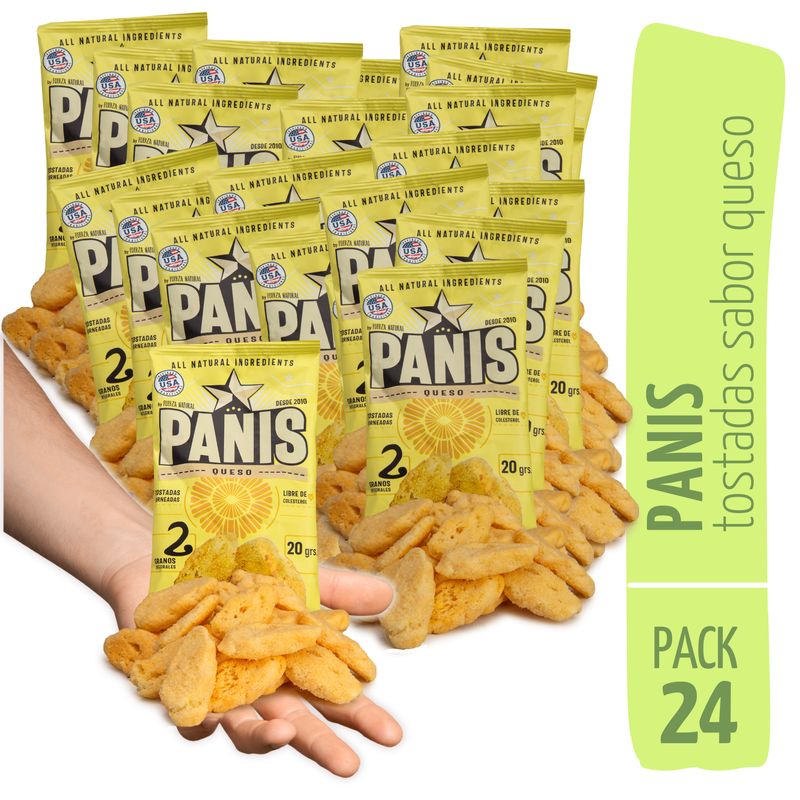 FUERZA NATURAL - Panis 20g Sabor Queso Snack Fuerza Natural Pack x24