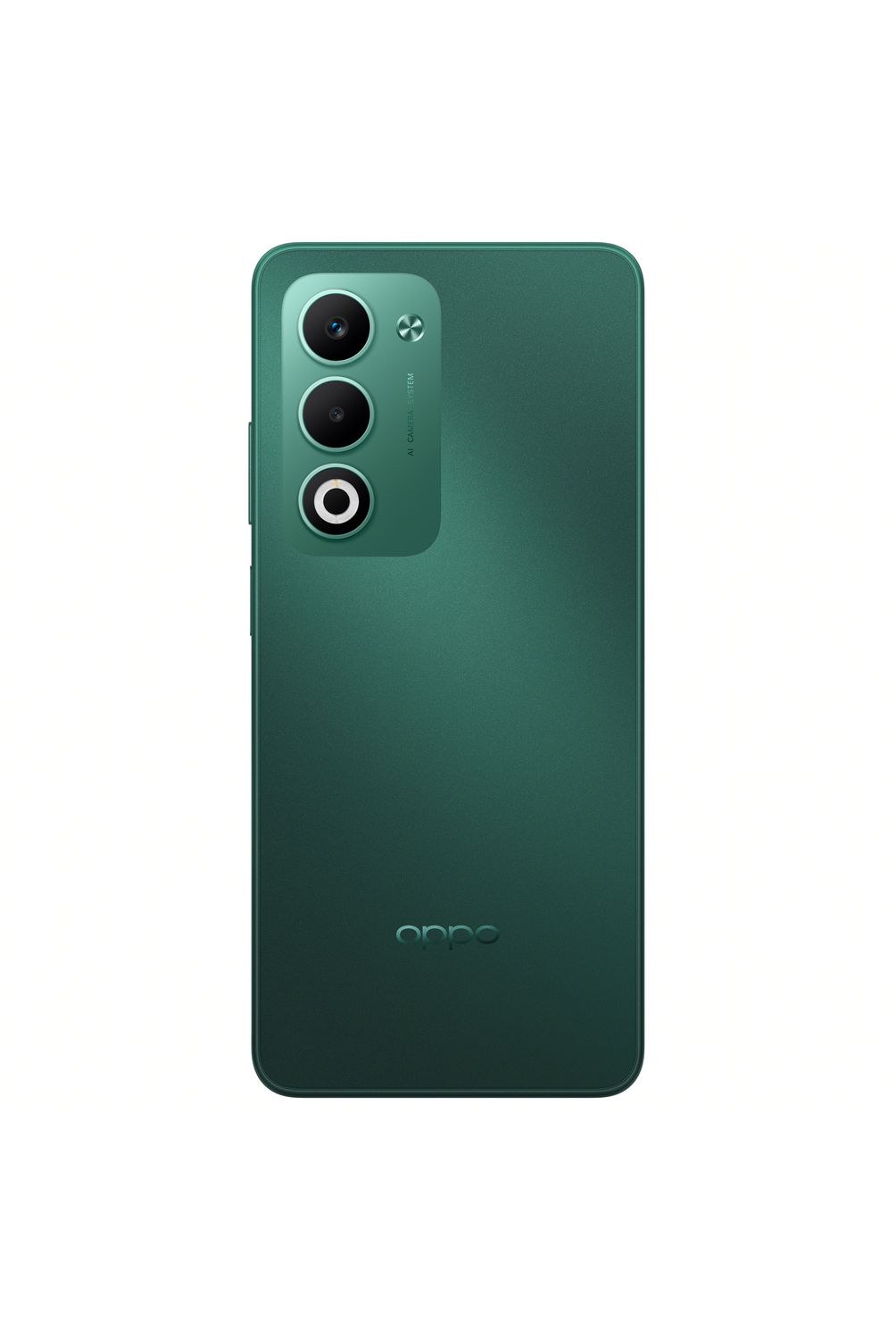 w=1004,h=1500,fit=pad