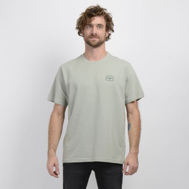 O'NEILL - POLERA MANGA CORTA STAMPED VERDE CLARO