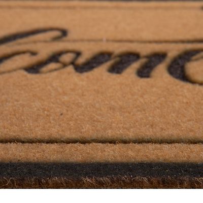 Imagen 2 del producto Limpiapiés Decorativo Viscelado 45x75 061