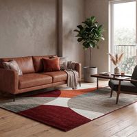 Alfombra Access 160X230 66200 Rust Rojo