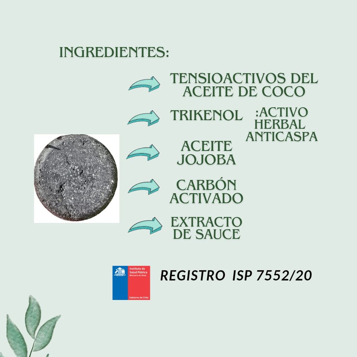 GENERICO - Shampoo Carbón Détox Limpieza Profunda Barra