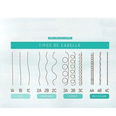 Imagen 2 del producto SHAMPOO LIMPIEZA PROFUNDA 250 ML