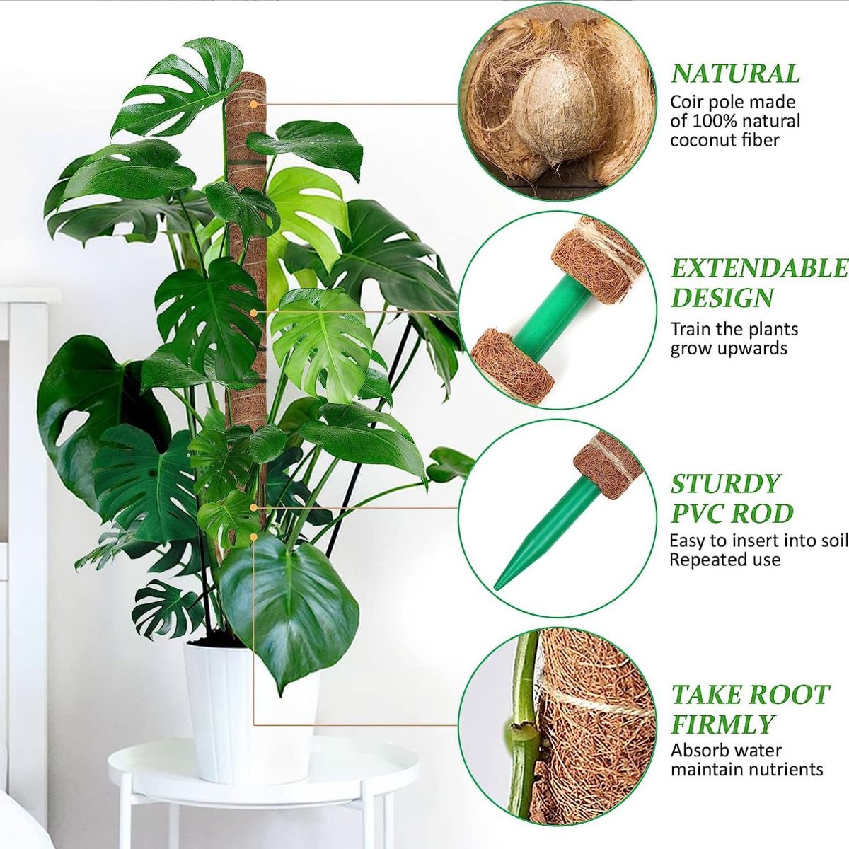 ATURE - Juego De 9 Tutor De Musgo Para Plantas 41 Cm / Moss Pole