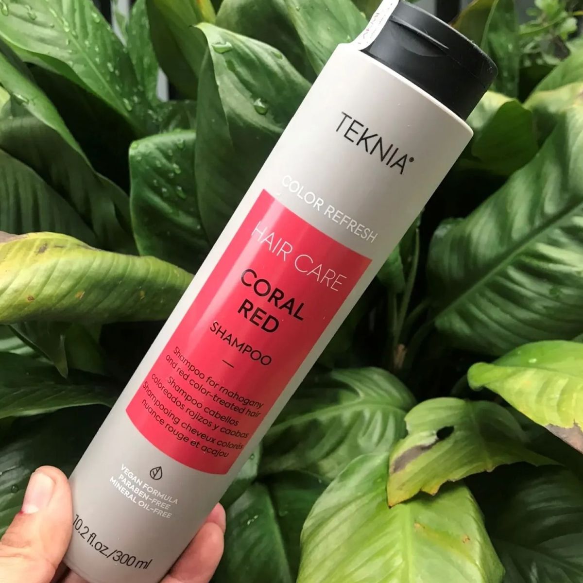 LAKME - Shampoo Para Cabello Teñido Lakme Teknia Rojo Caoba 300ml