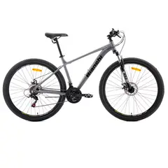 BIANCHI - BICICLETA EVOLUTION 29 SX GRIS SEMI MATE