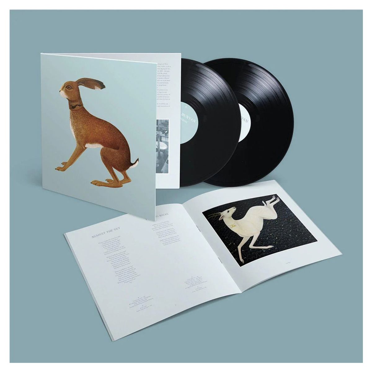 GENERICO - Vashti Bunyan -Lookaftering Expanded Edition- Vinilo Doble