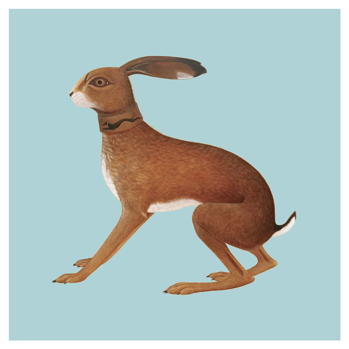 GENERICO - Vashti Bunyan -Lookaftering Expanded Edition- Vinilo Doble