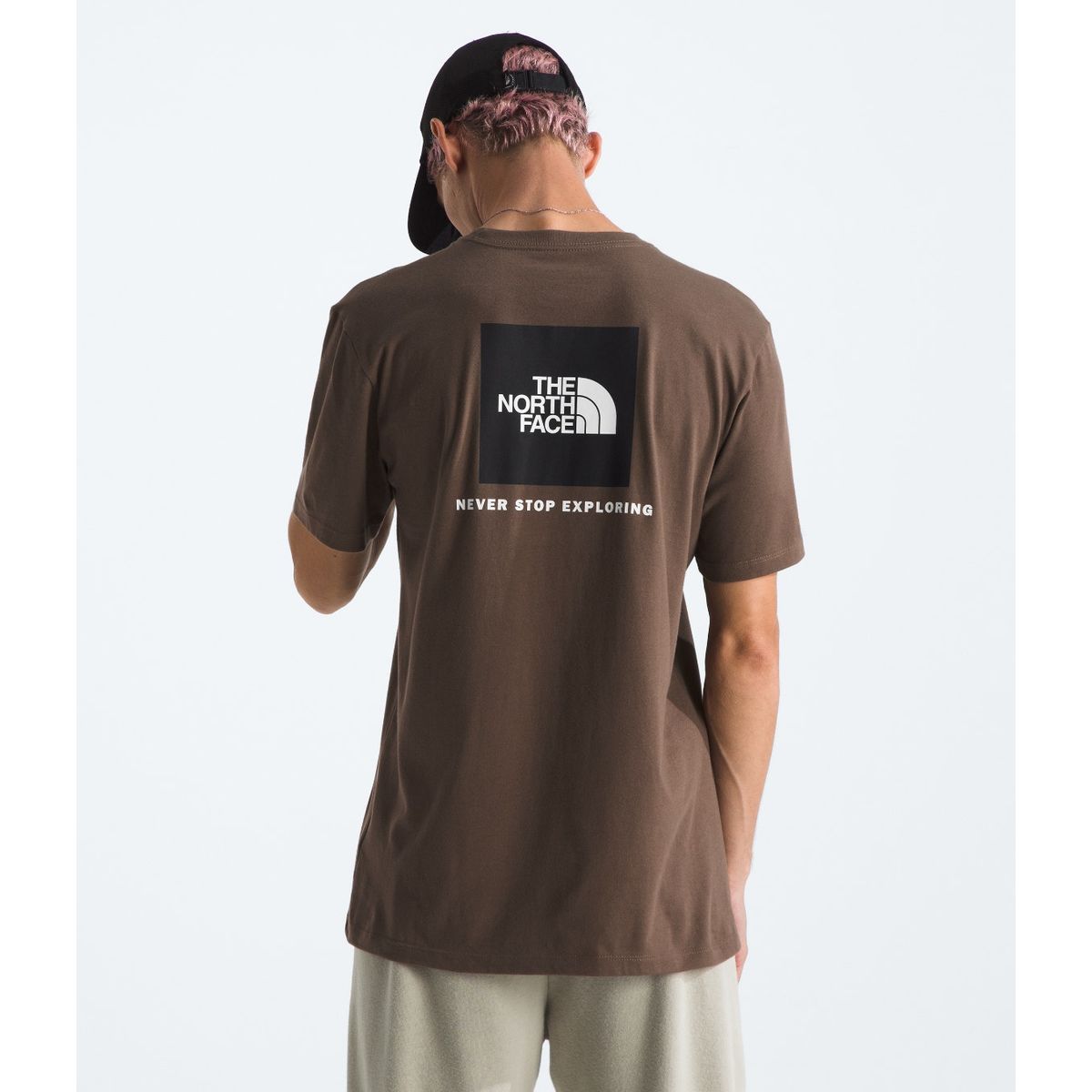 THE NORTH FACE - Polera S/S Box Nse Hombre Café