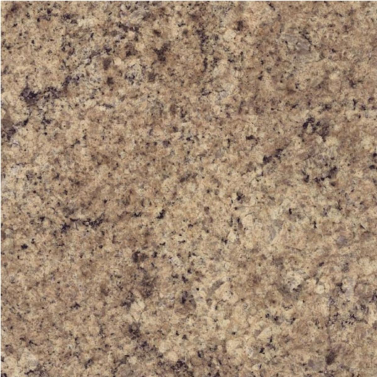 LAMITECH - Lamina PF8 granitto fossil brillante (AST) 1,22x3,06mt 2724