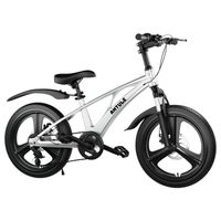 Bicicleta Infantil 6-8 Años Aro 20 City