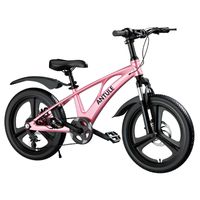 Bicicleta Infantil 6-8 Años Aro 20 City