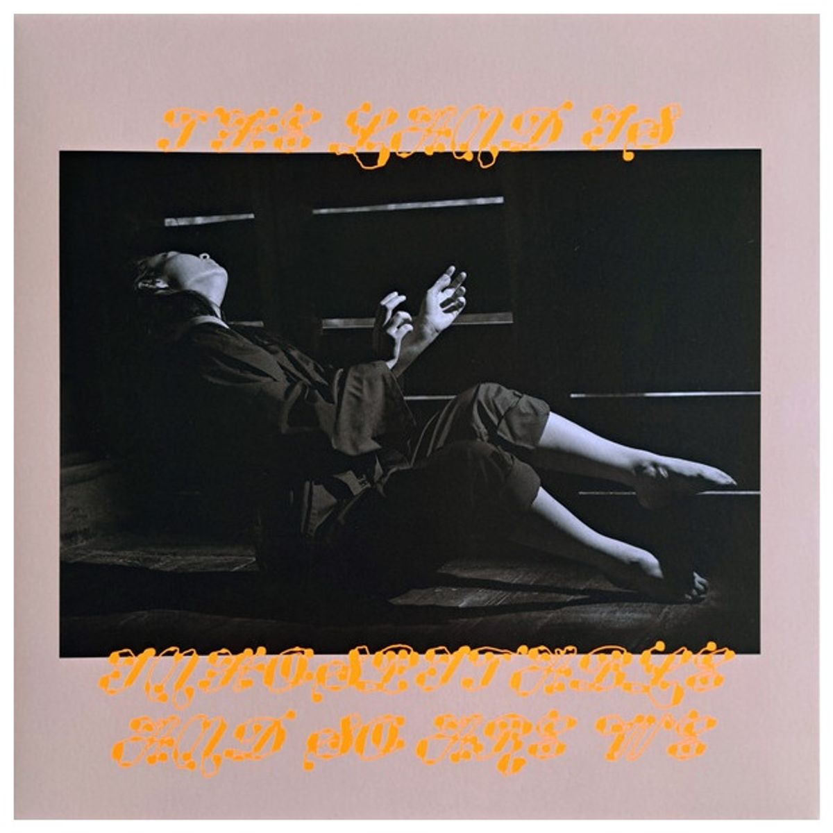 GENERICO - MITSKI - LAND IS INHOSPITABLE AND SO ARE WE / VINILO