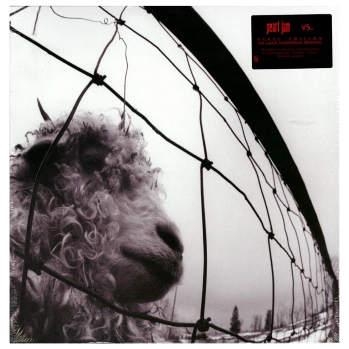 GENERICO - PEARL JAM - VS. (GATEFOLD) / VINILO