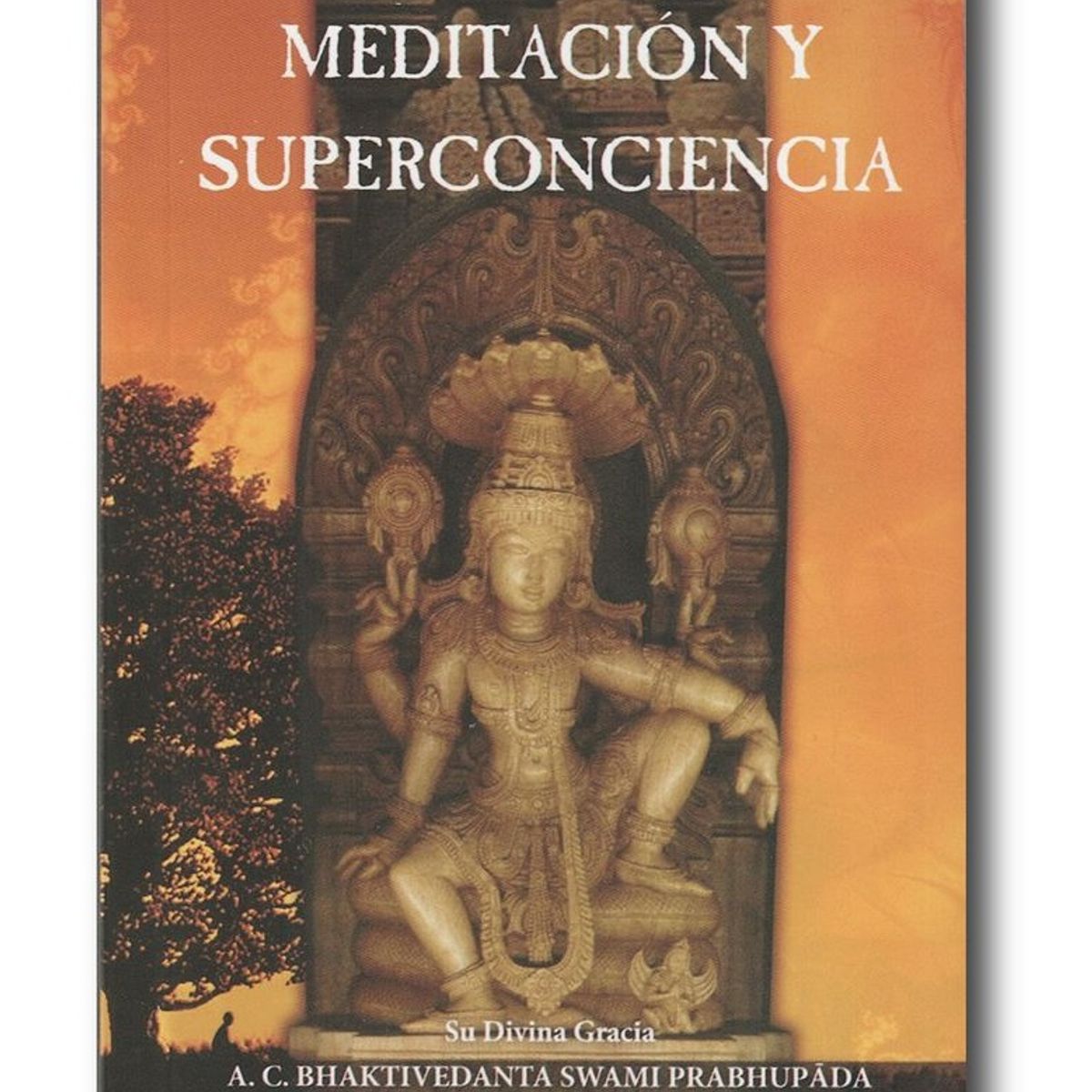 GENERICO - Meditación y superconciencia