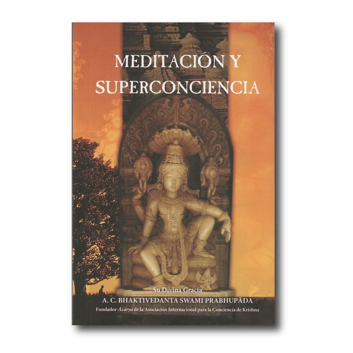 GENERICO - Meditación y superconciencia