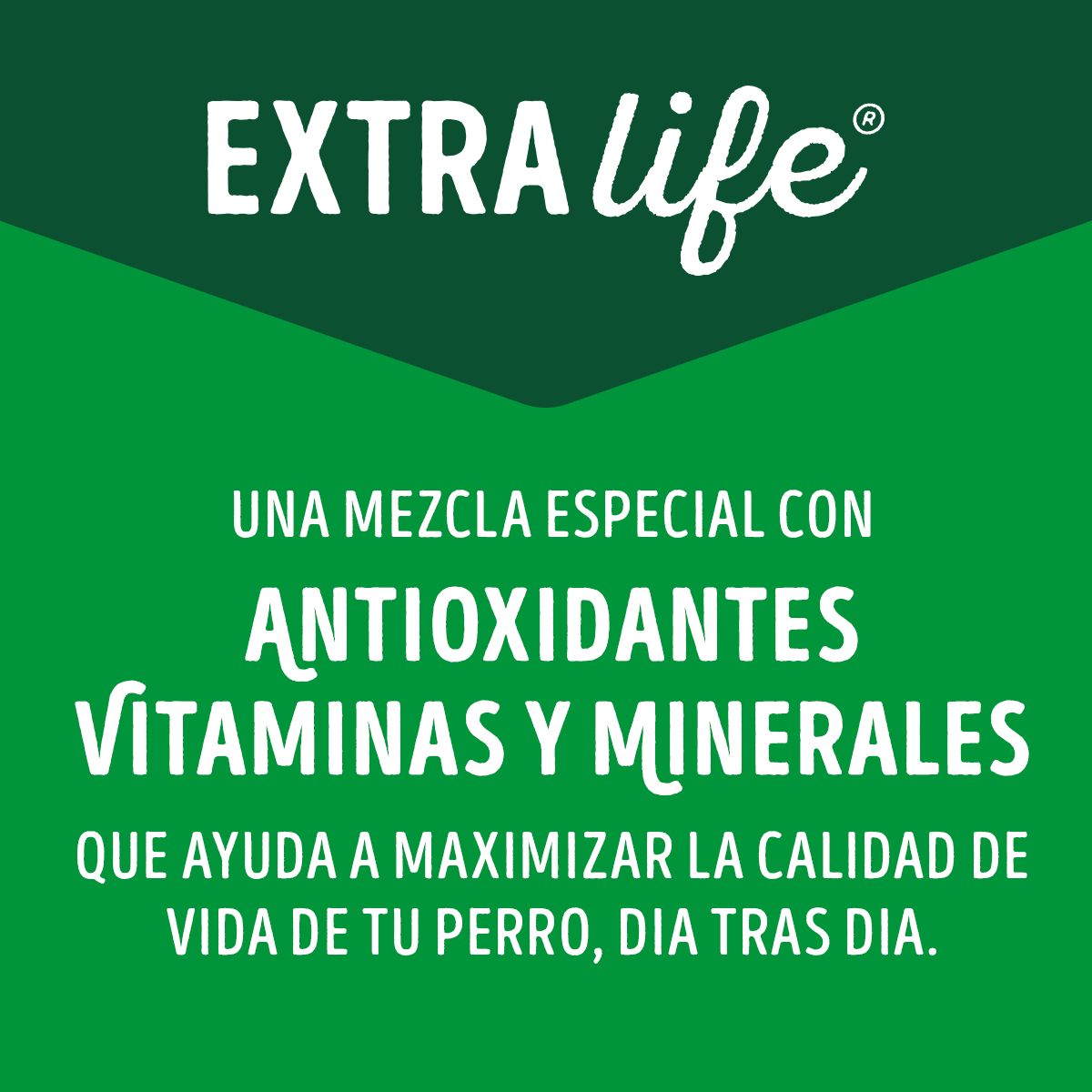 DOG CHOW - Pack x20 Alimento húmedo DOG CHOW® Adultos con Carne 100g