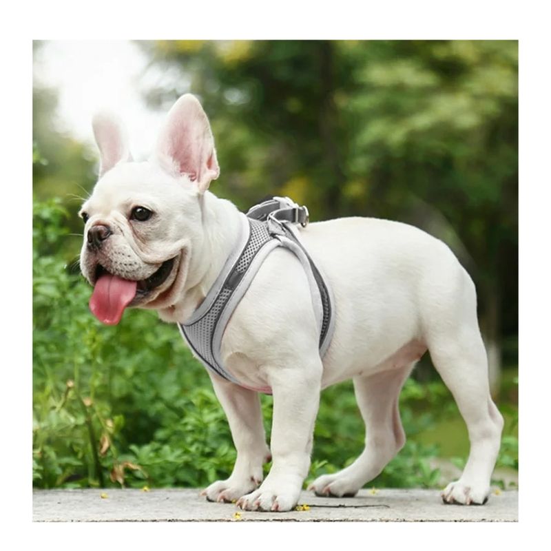 GENERICO - Arnés antitirones transpirable perro pequeño Talla S GRIS