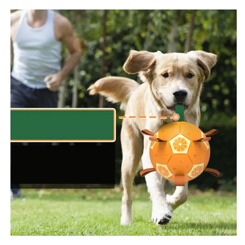 GENERICO - Pelota interactiva para perro incluye bombín NARANJA