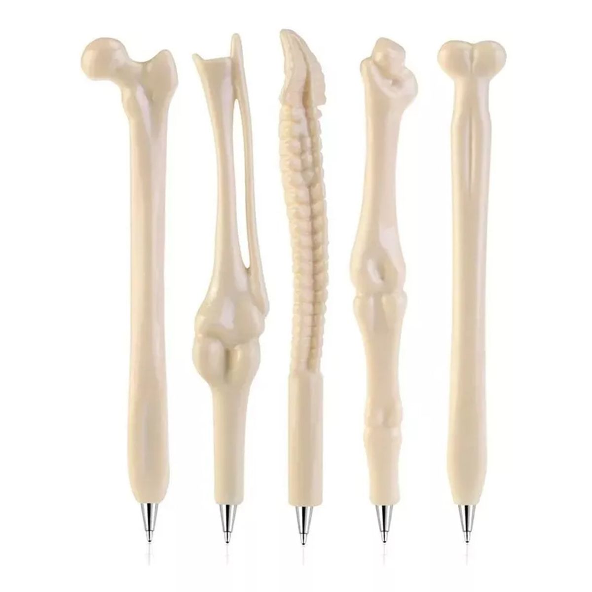 KINDA NICE - 12 Lápiz Forma De Huesos Kinesiólogo Para Niños Y Adultos