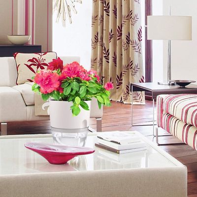 Imagen 2 del producto Maceteros Autorregante Set 4 Unidades