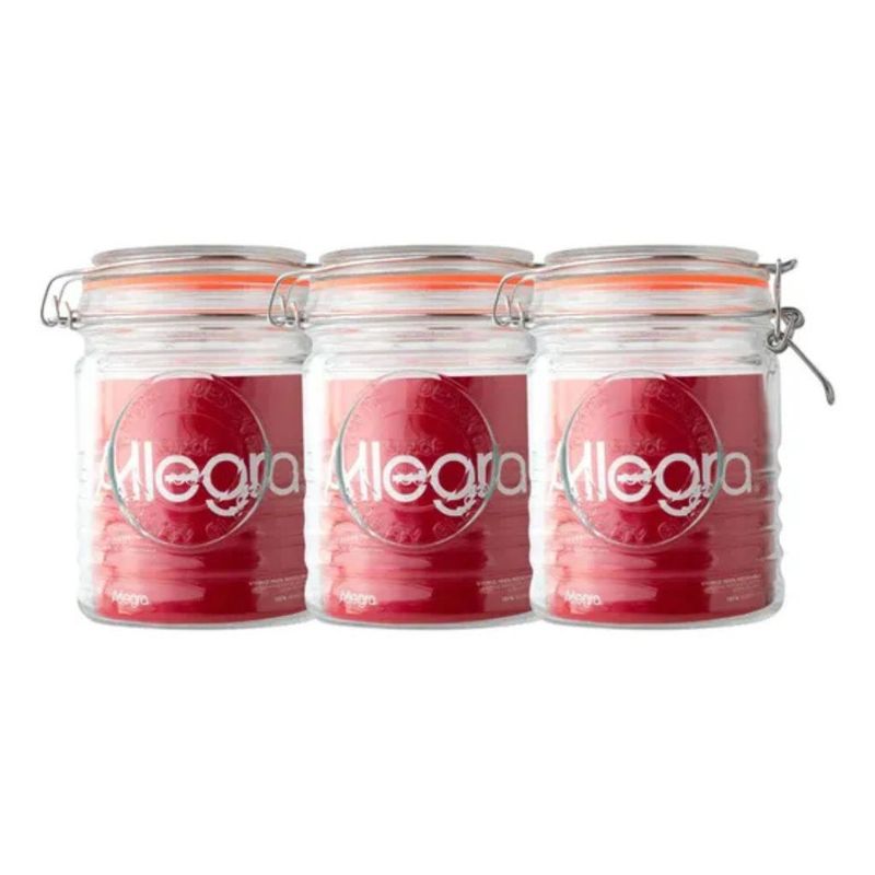 ALLEGRA - Pack De 3 Frascos Con Tapa De Vidrio 750ml Allegra